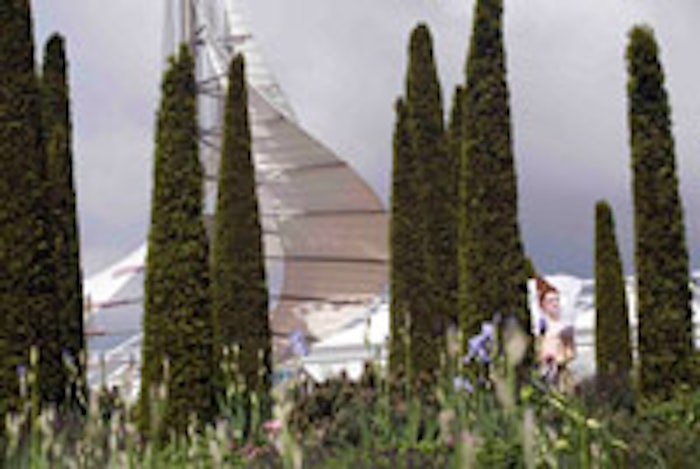 Perfume Garden at Chelsea Flower Show.