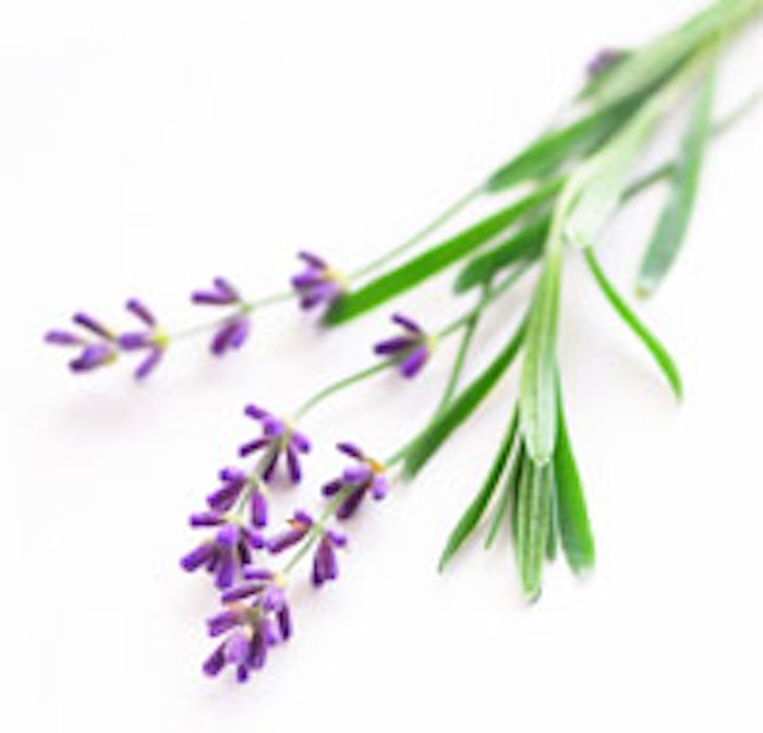 lavender_iso_is_m