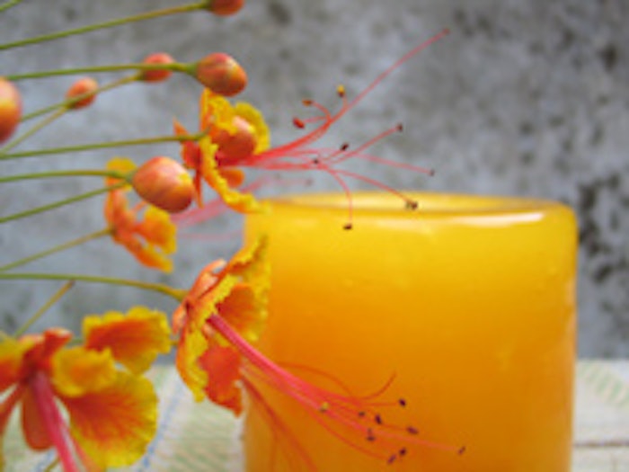 candle_mt