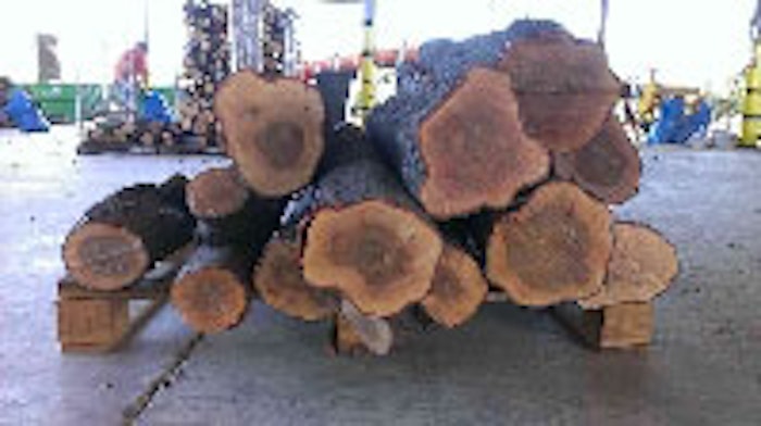 Harvested wood at the company's primary processing center.