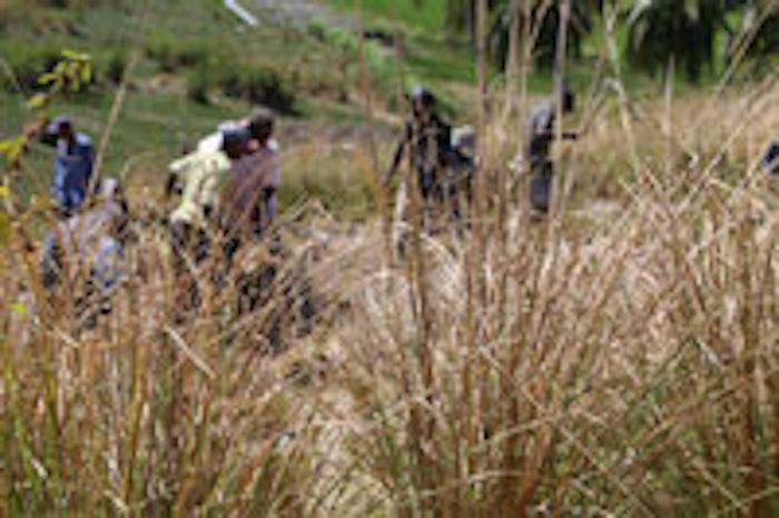 Givaudan-Vetiver_MAIN