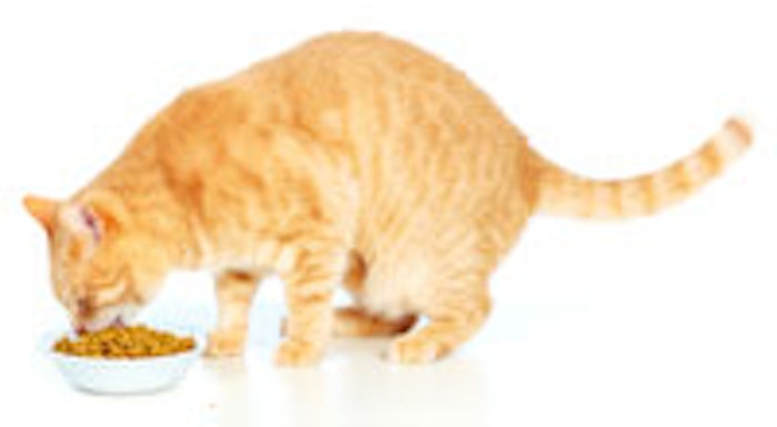 Fotlia_CAT_MAIN
