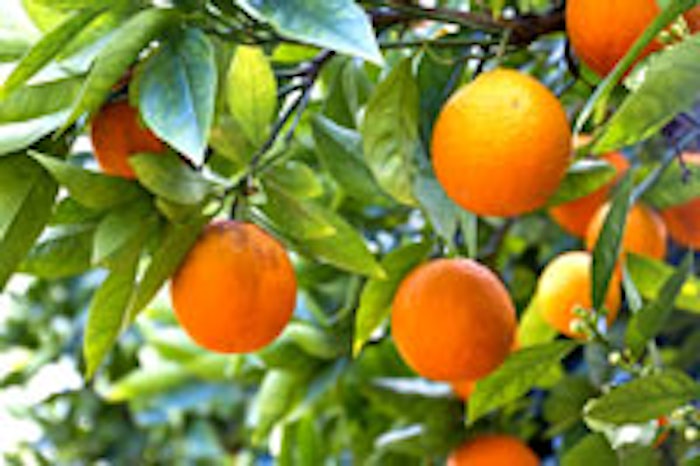 Fotolia_Orange_MAIN