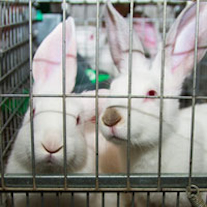 News_AnimalsCaged_MAIN2