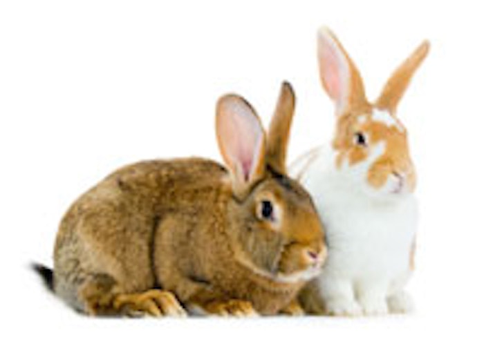 GCI1508_AnimalTestingBunnies_Wbackground_m1
