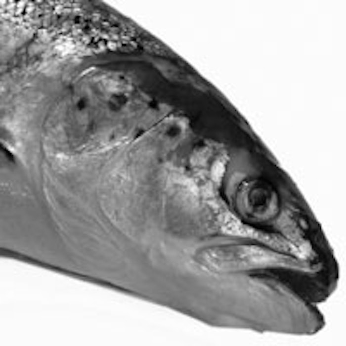 Fish-face-200