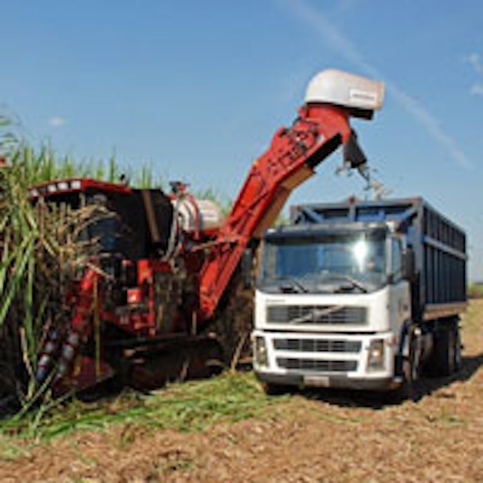 harvesting-S-America--ethanol2