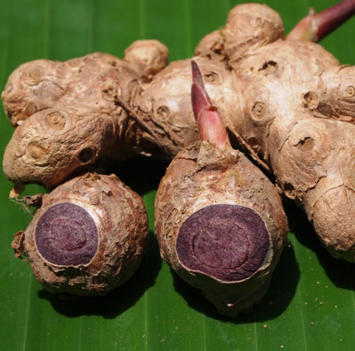 photo credit: www.qsbg.org