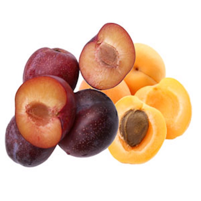 Plums-and-apricots-300