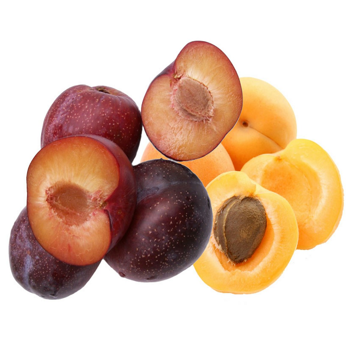 Plum apricot on sale