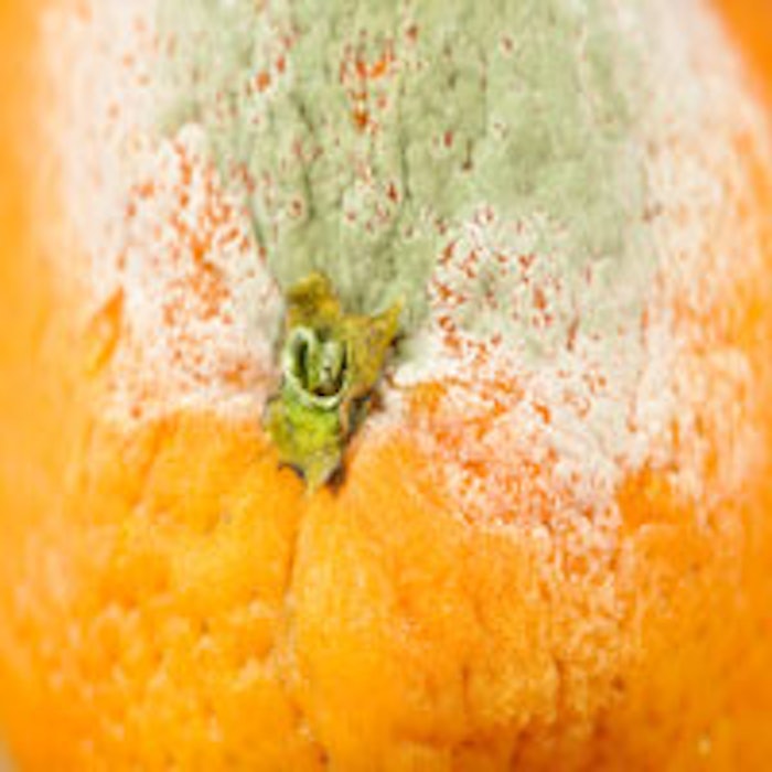 dreamstime_l_396030852