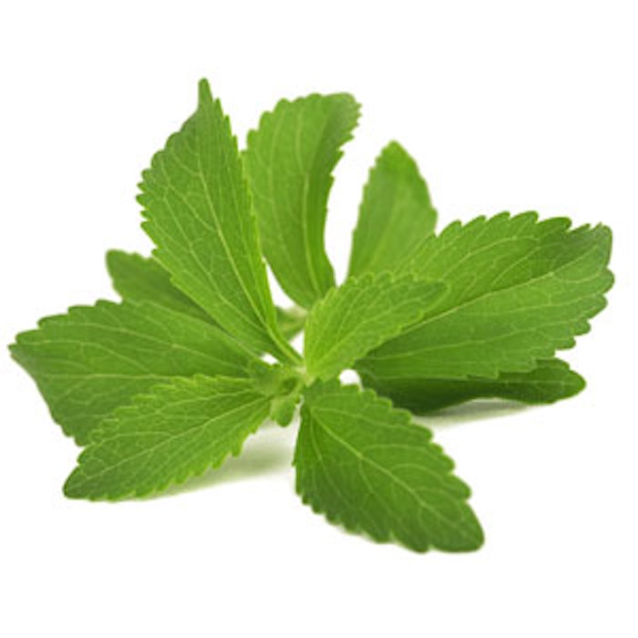Stevia_PF_300_jpeg