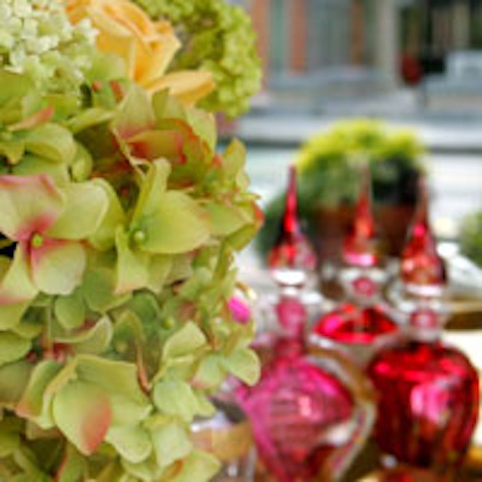Bouquet-and-fragrance-200
