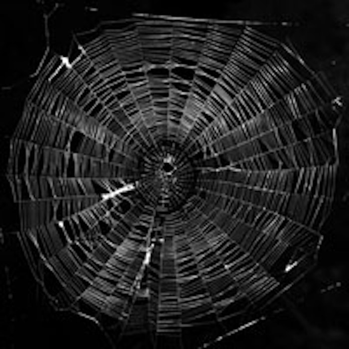 Photo credit: Chen-Pan Liao