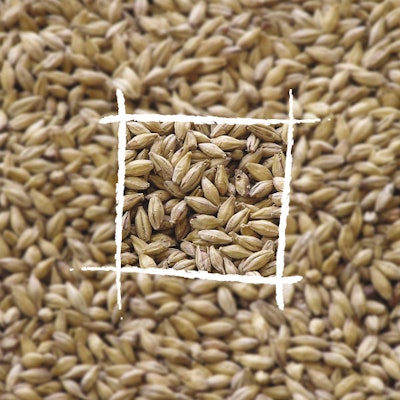 Firmenich_maltnaturome_opt