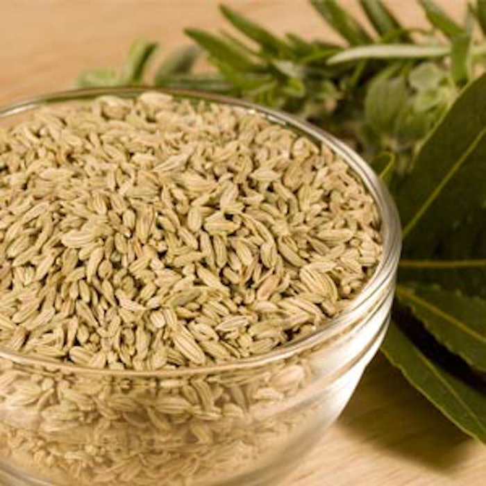 fennel1