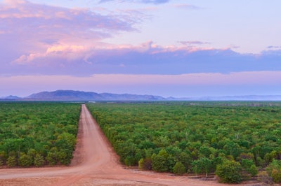 458 20151012 Tfs Kununurra