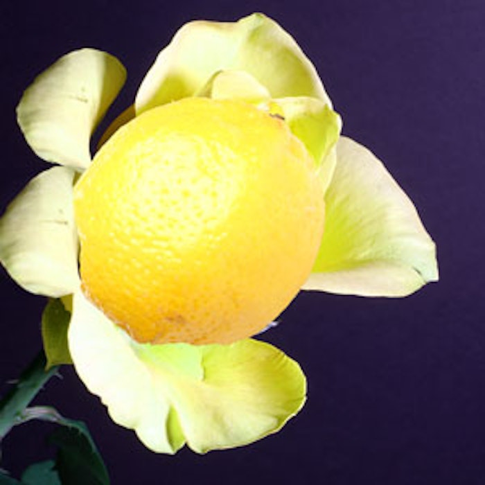 Lemon-rose-300