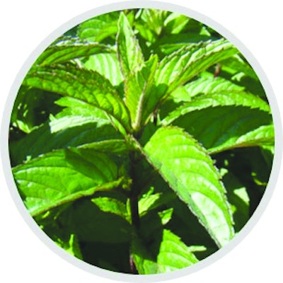 PF1604_RMB_EOT_PepperExt