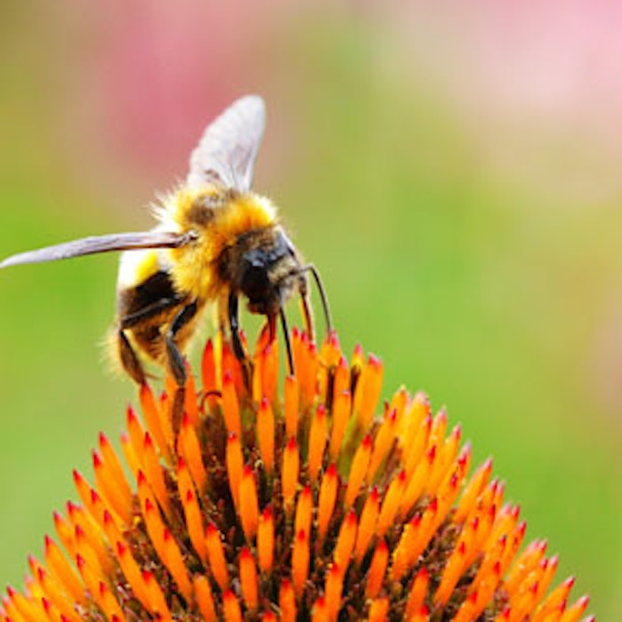 dreamstime_xl_47188159thu1