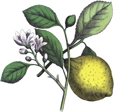 lemons_opt