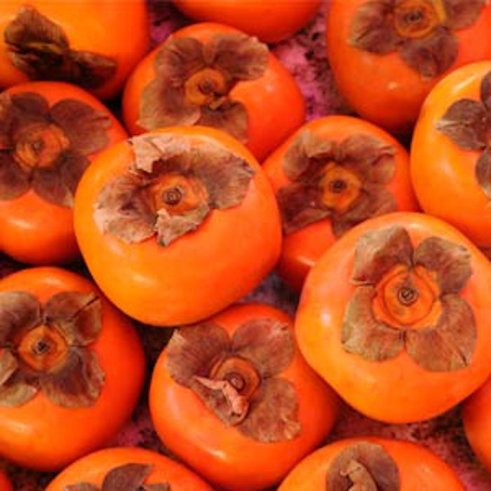 persimmon2
