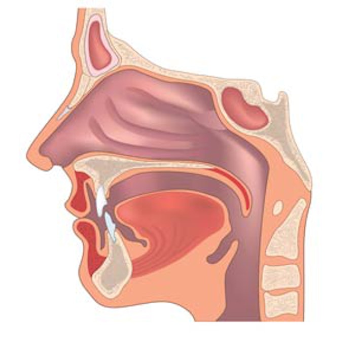 nose2