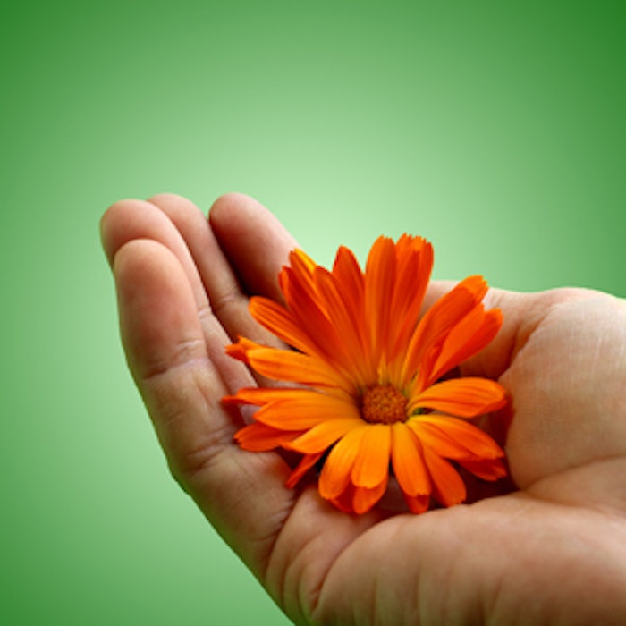 dreamstime_xl_24330795thu2