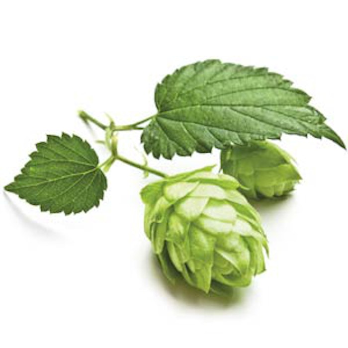 hops2