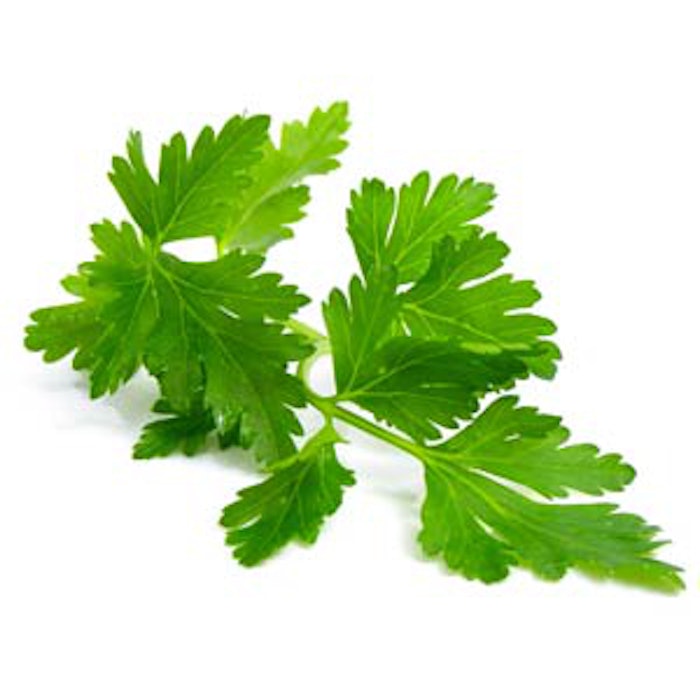 parsley1
