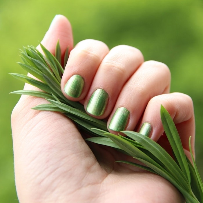 dreamstime_xl_24915295bill1