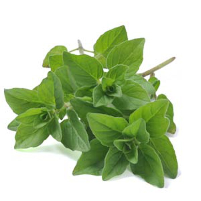 oregano2