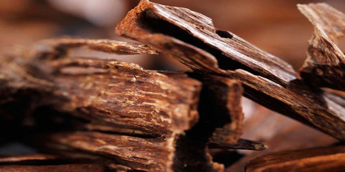 Sandalwood_425