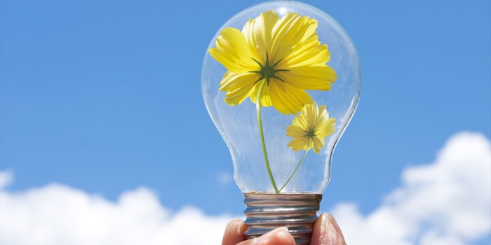 bulb_425