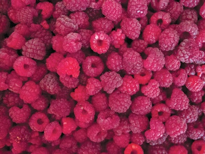 dreamstime_xl_45497352