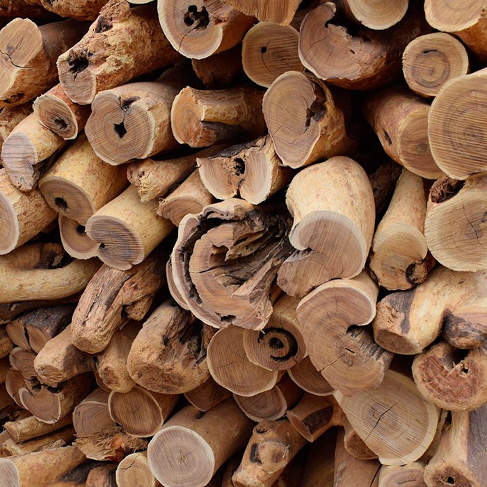 sandalwood10