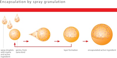Glatt Encapsulation By Spray Granulation