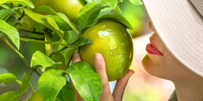 PF_SummerFragrance_425