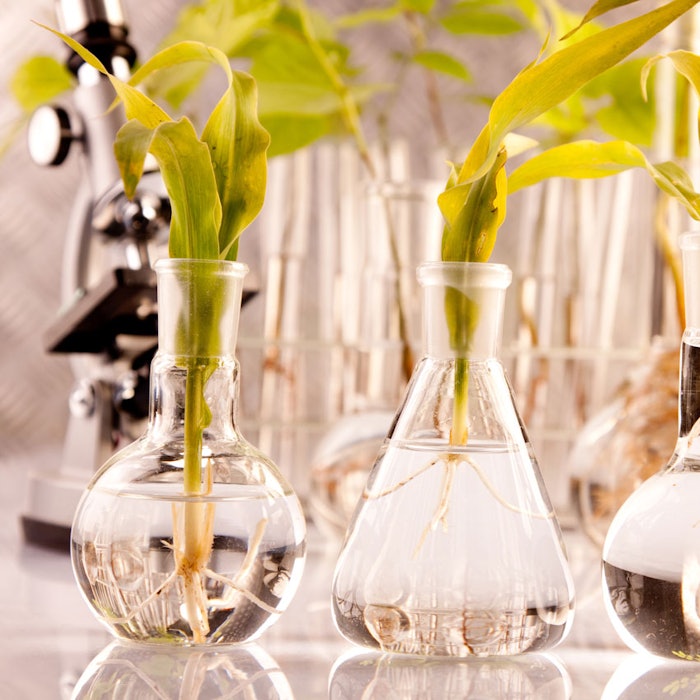 PlantsLabFlasks850