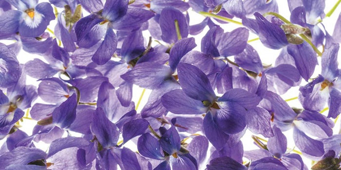 As one of the most popular and expensive oils of the 19th century, violet oil’s compounds could be isolated into three major ionones. It was found that depending on the synthetic route, mixtures of the ionones in different ratios were formed, each of which had unique fragrance profiles.