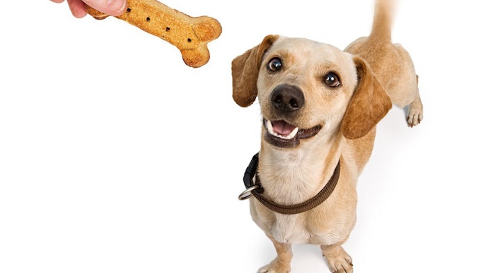 dreamstime_dogtreat_850