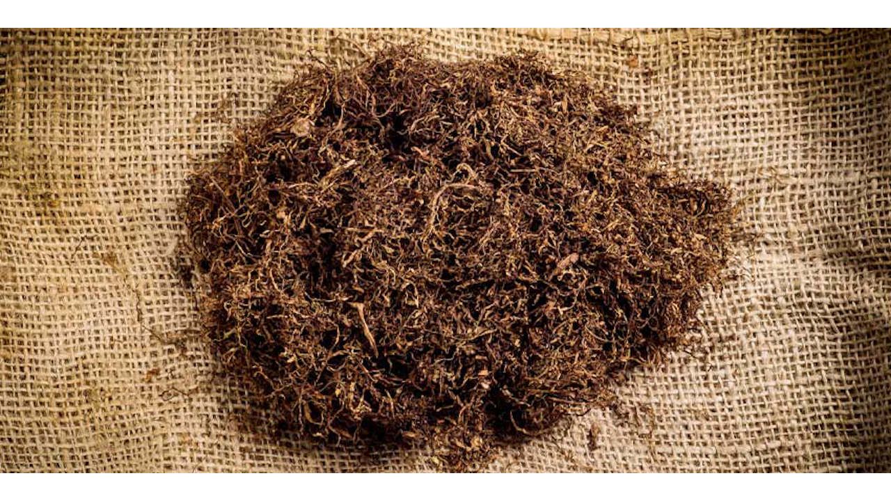 tobacco raw material 1,748 Materials Royalty-Free Images, Stock Photos & Pictures Reconstituted Tobacco Filler | SWM