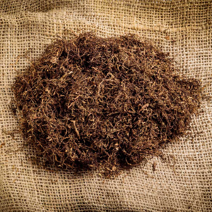 dried tobacco pantone Raw Material of the Week: Tobacco Extract, FG dried tobacco pantone Raw Material of the Week: Tobacco Extract, FG