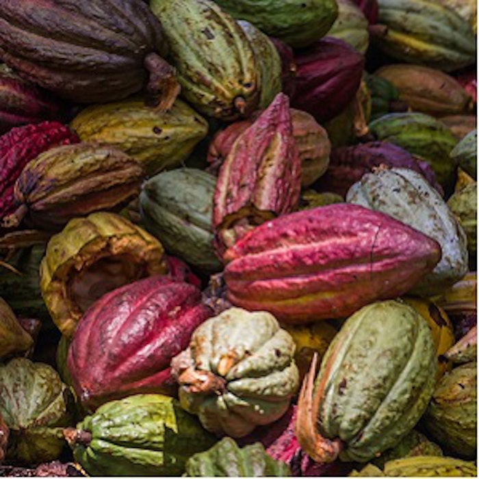 pf_cocoa_thumb_121817