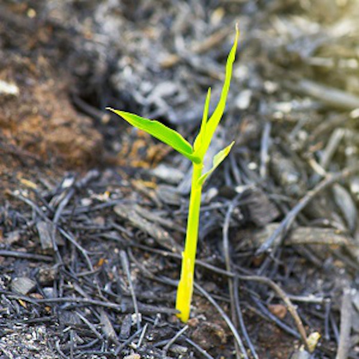 pf_sus_thumb_121117