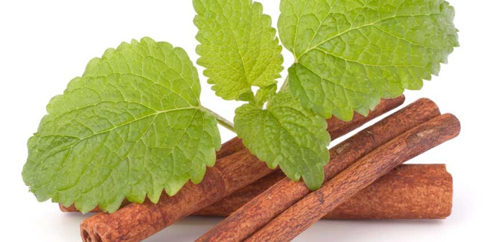 cinnamonleaf_425