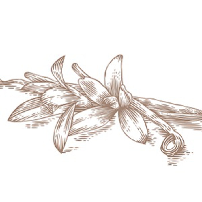 pf_vanilla_thumb_11918