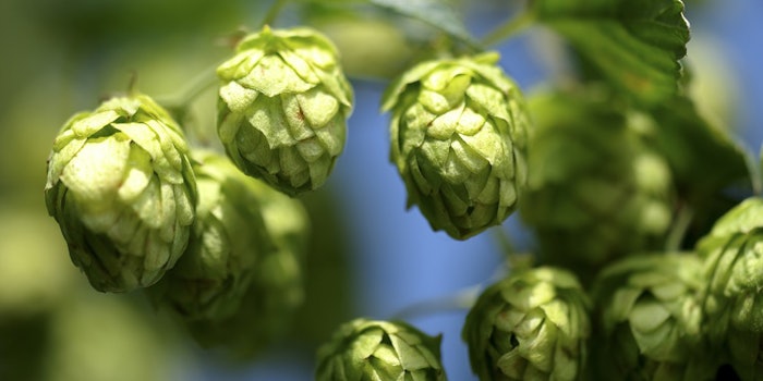 pf_hop_lead_21218