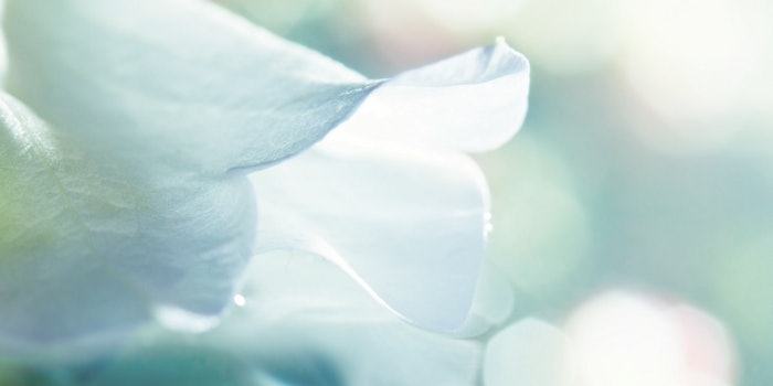 pf_white_lead_21518