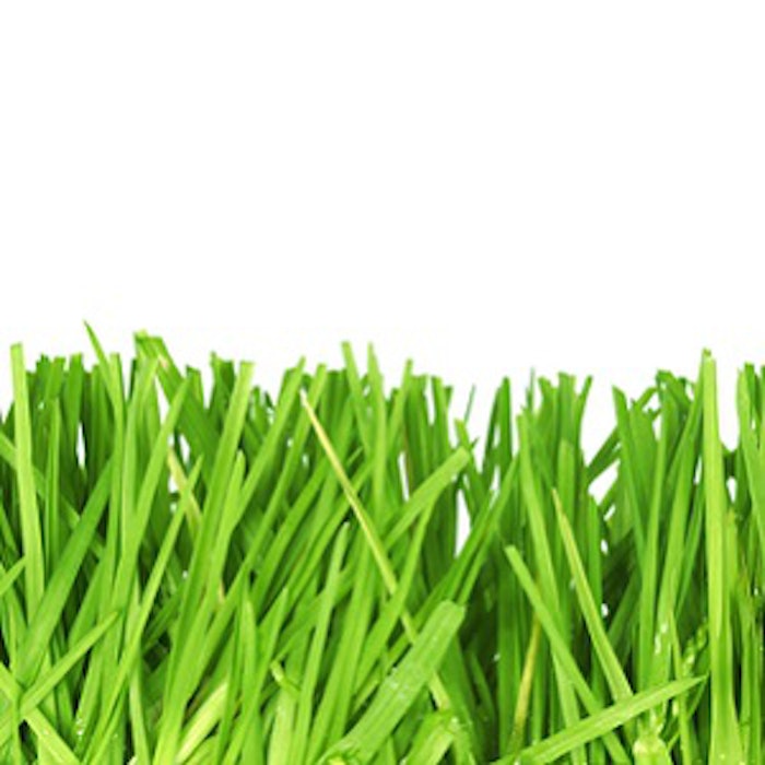 pf_grass_thumb_3618